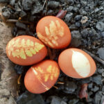 Natural Egg Dying