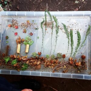 autumn eco-art pictures