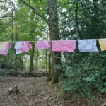 natural dyes